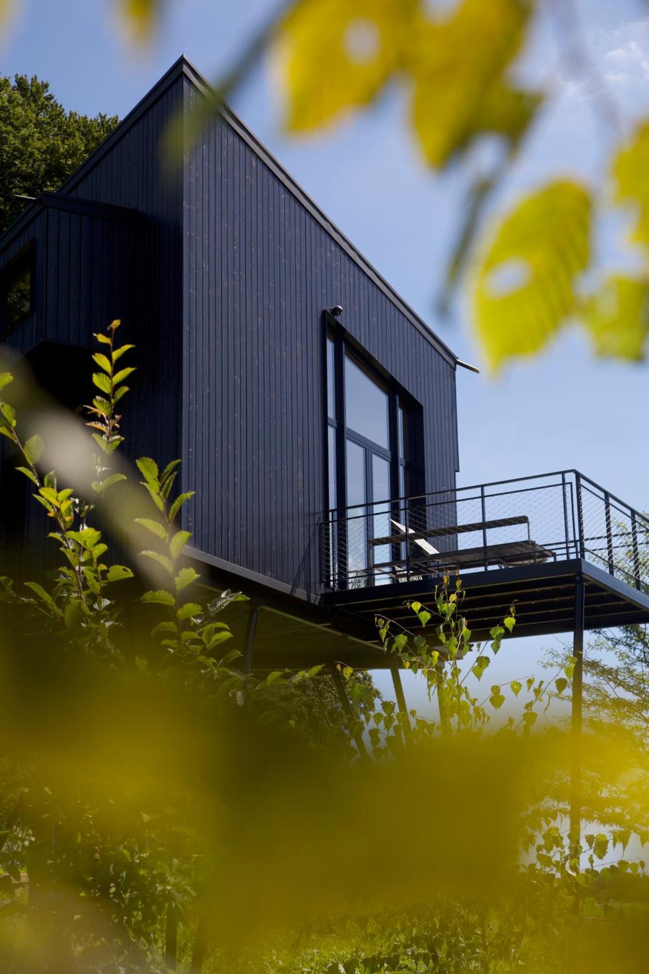 Treeangle - K1 Baumhaus Villa Odenthal Buitenkant foto
